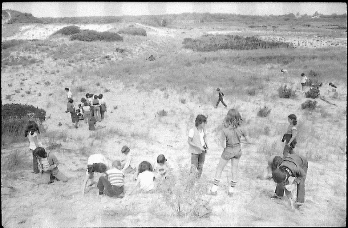 A group of children at the beach digging in the sand.