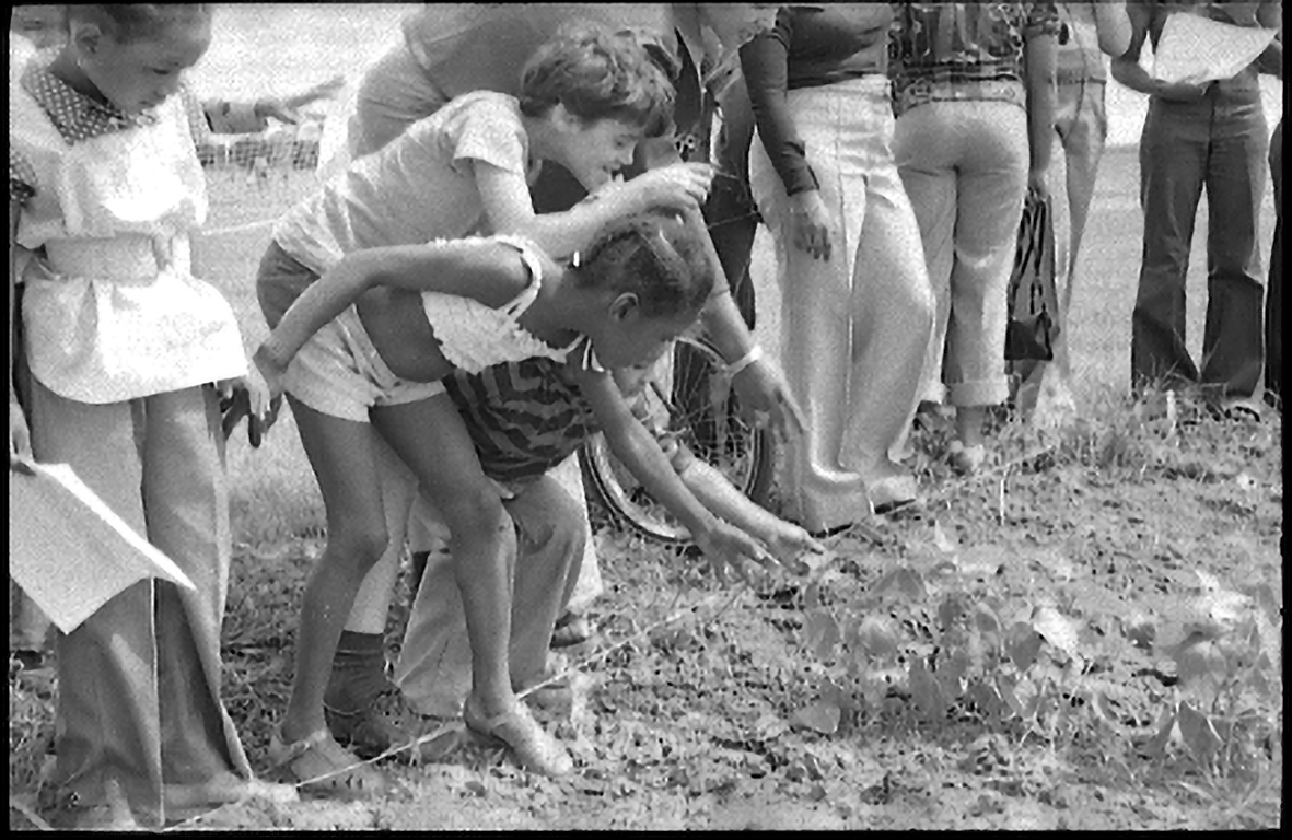 A group of students looking down at a garden.
