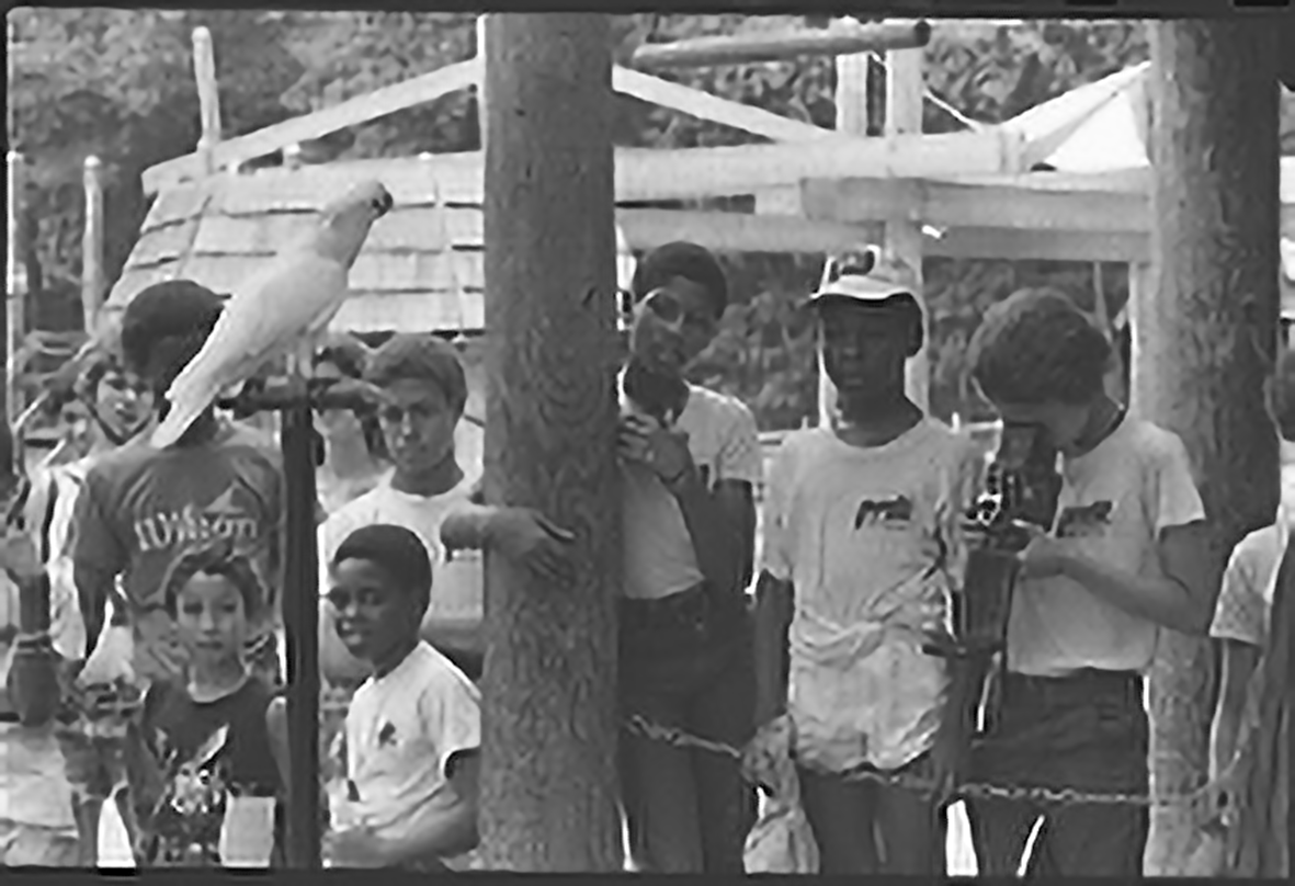 a group of students looking at a perched parrot
