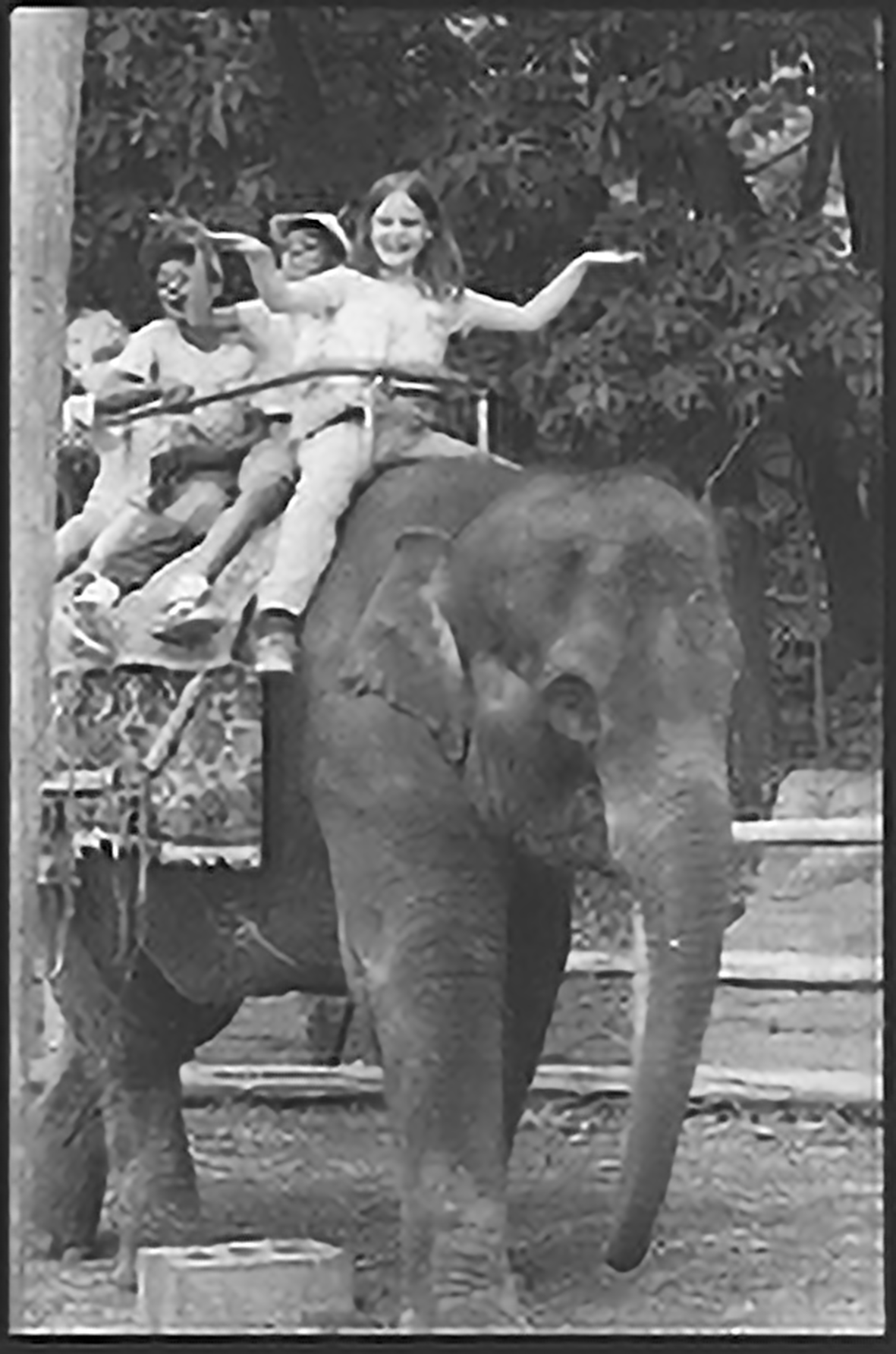 A group of students riding on top of an elephant