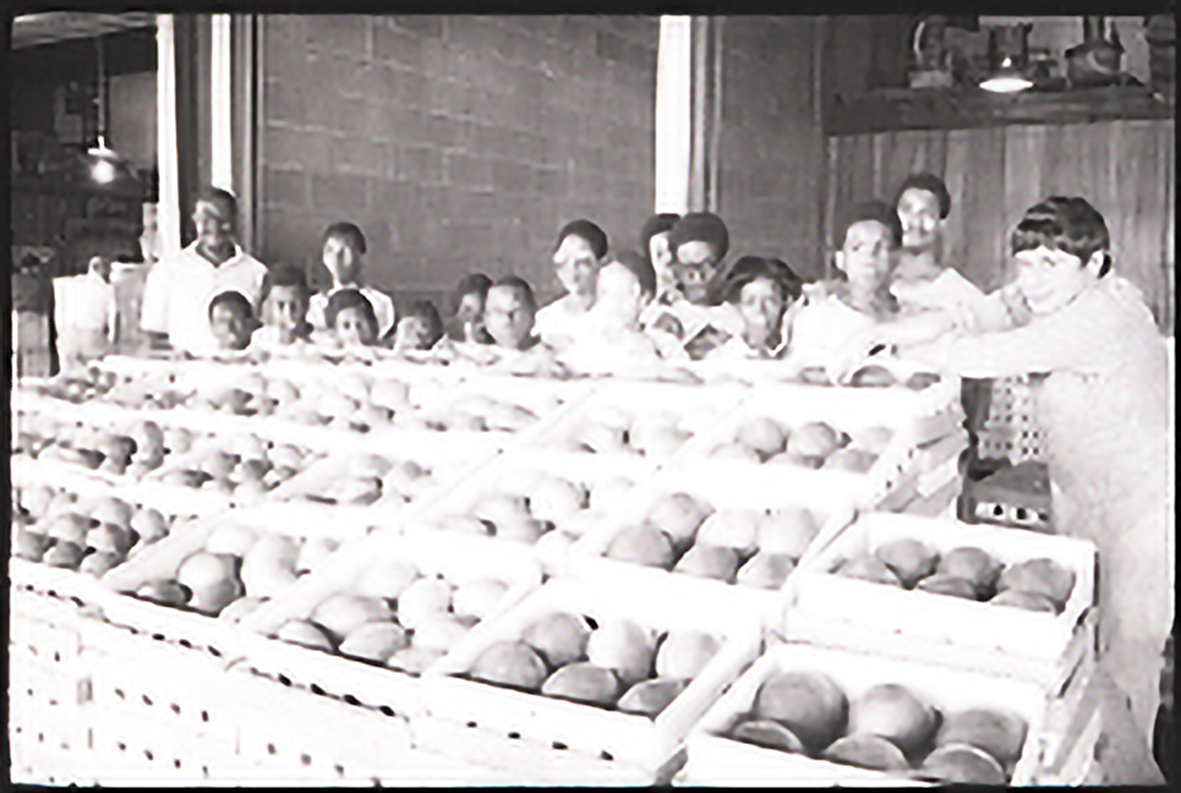 Students standing behind bins of produce.